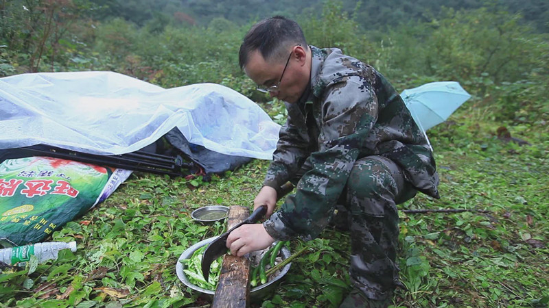 王磊：巡山20年 大熊貓的“守護神”