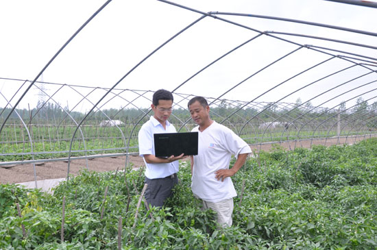 2012年夏天在宿豫區蔡集鎮朱李村蔬菜大棚幫助當地農民聯系遠程教育專家指導肥料使用。